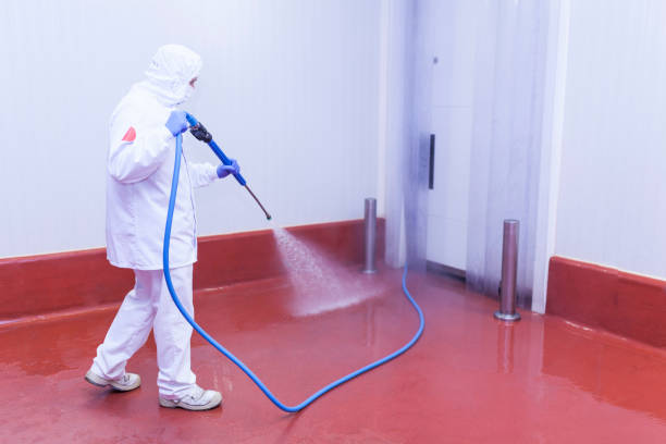 Best Dumpster Area Cleaning  in Cutten, CA