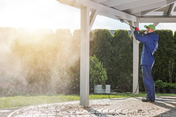Best Graffiti Removal  in Cutten, CA