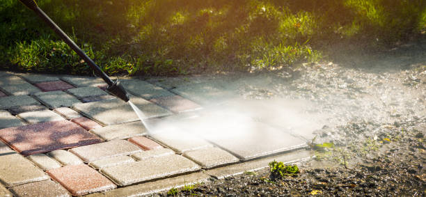 Animal Enclosure Cleaning in Cutten, CA